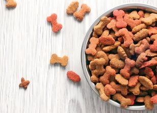 宠物饲料